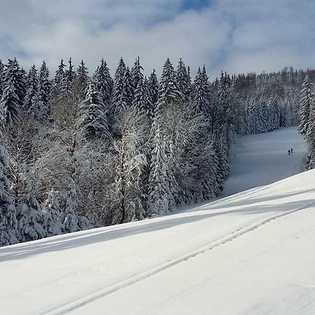 Špindlerŭv MlýnApartman Medvedin 109公寓 外观 照片